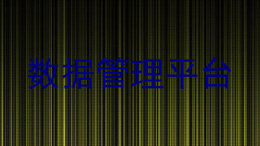 数据管理平台