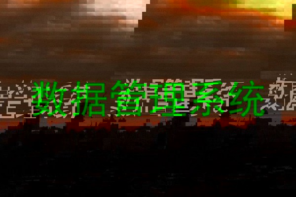 数据管理系统