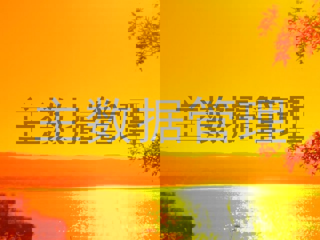 主数据管理