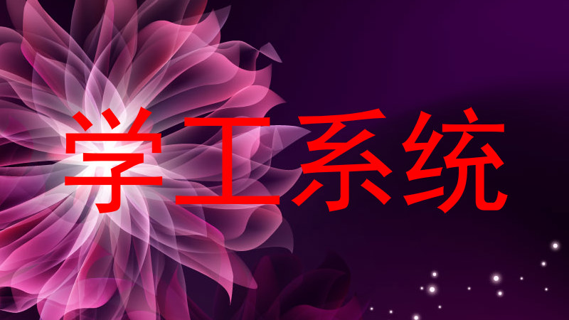 学工系统