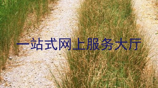一站式网上服务大厅