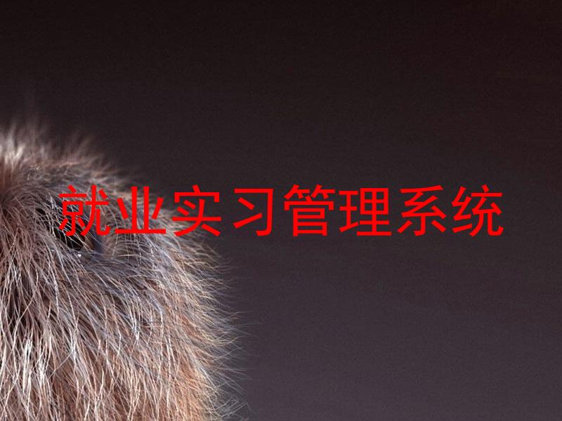 就业实习管理系统