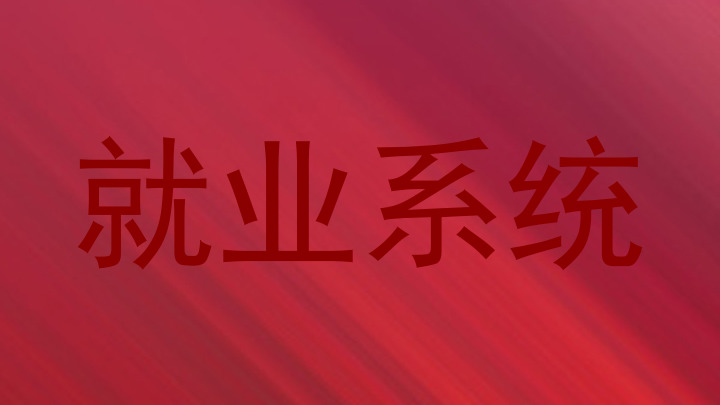 就业系统