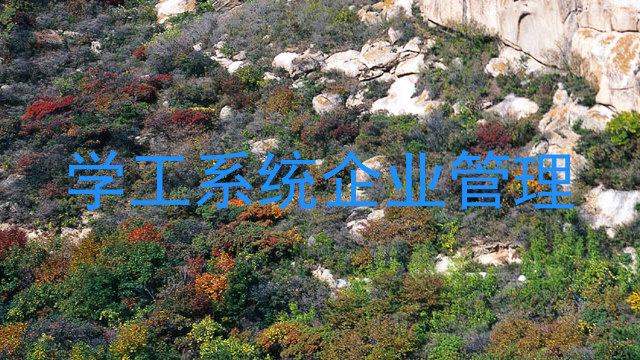 学工系统企业管理