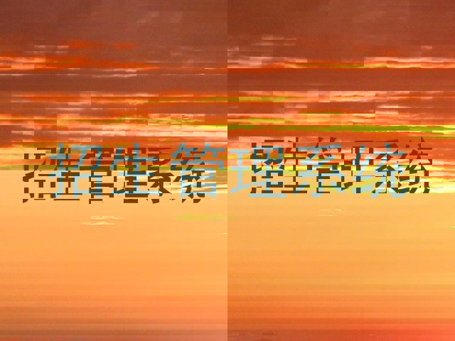 招生管理系统