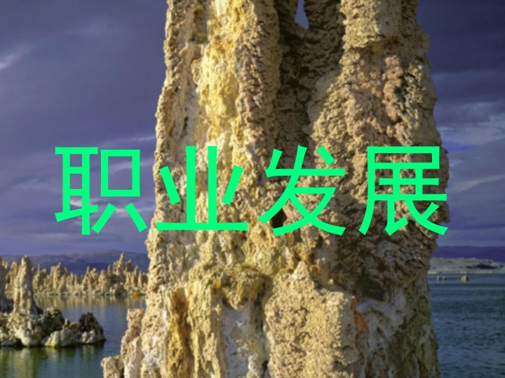 职业发展