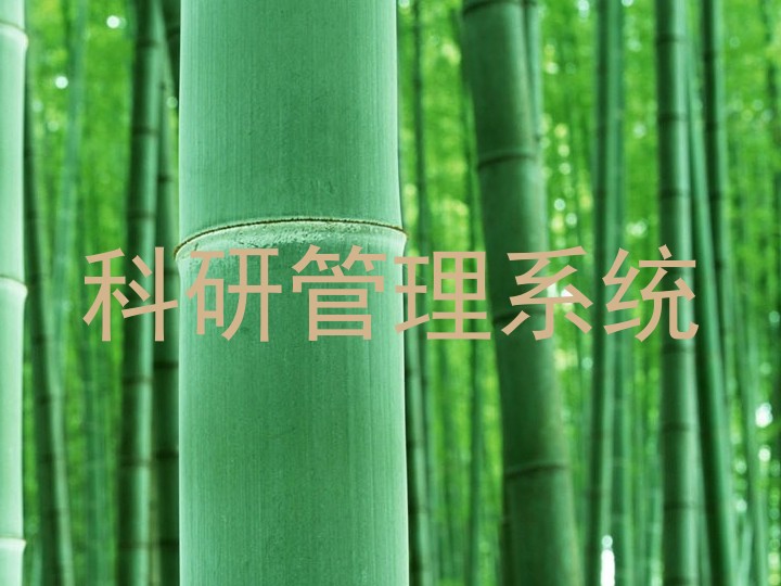 科研信息管理系统