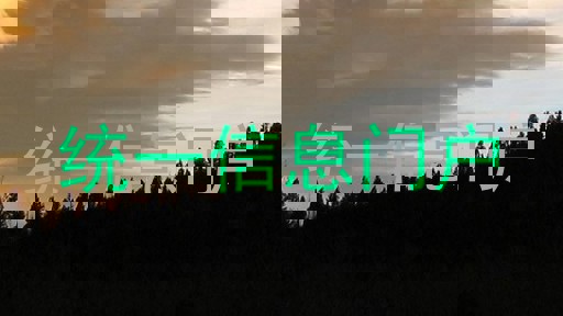 统一信息门户