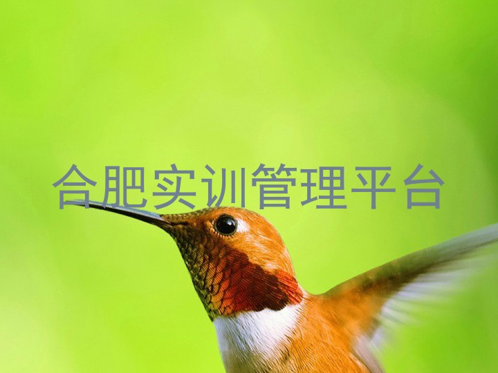 合肥实训管理平台