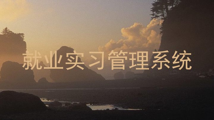 就业实习管理系统