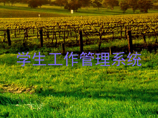 学生工作管理系统