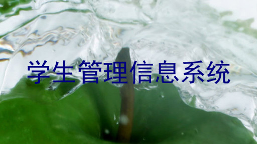 学生管理信息系统