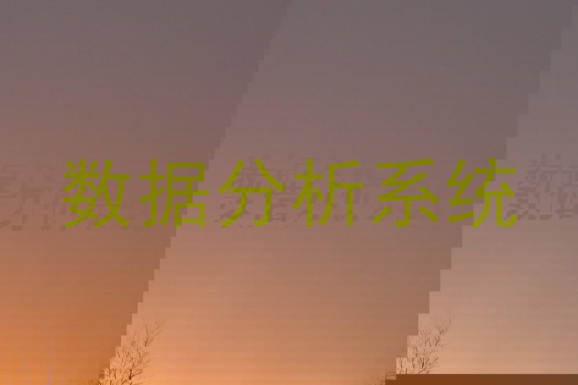 数据分析系统