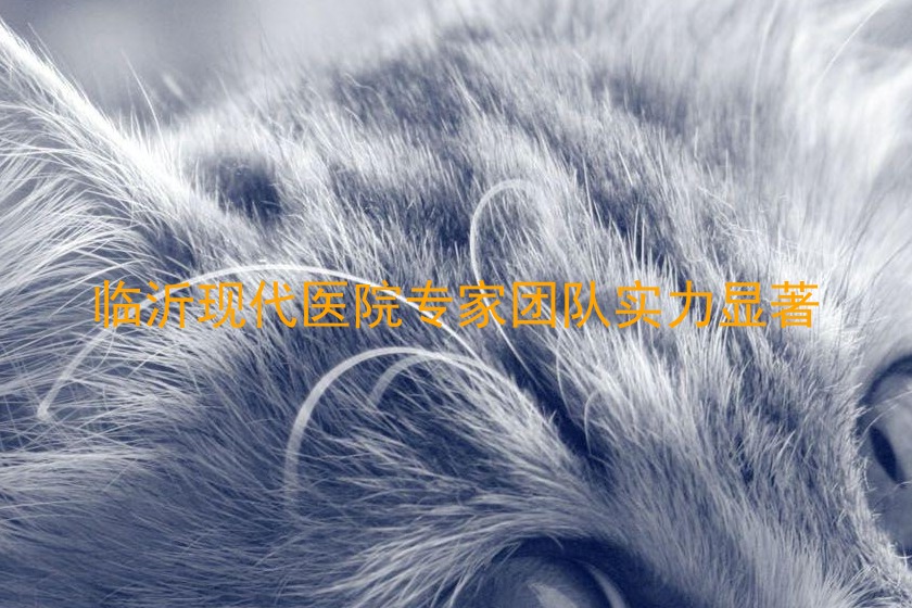 临沂现代医院专家团队实力显著