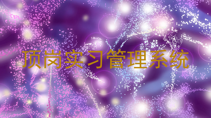 顶岗实习管理系统