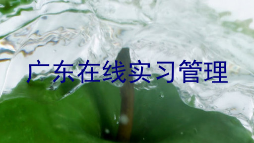 广东在线实习管理