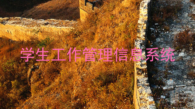 学生工作管理信息系统