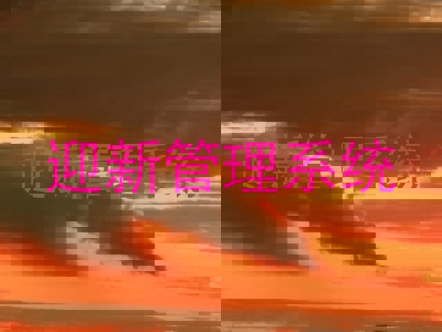 迎新管理系统