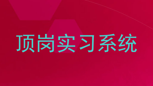 顶岗实习系统
