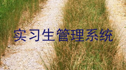 实习生管理系统