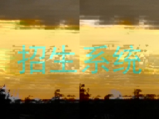 招生系统