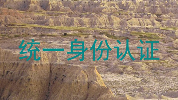 统一身份认证