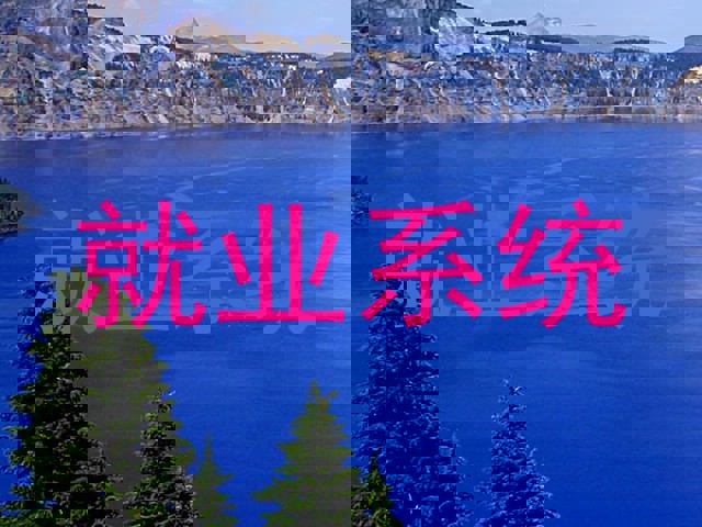 就业系统