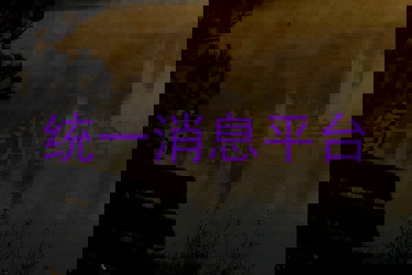 统一消息平台