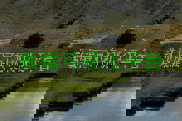 数据可视化平台