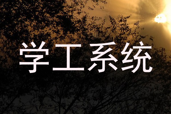 学工系统