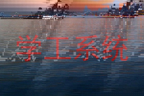 学工系统