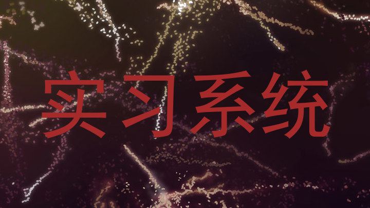 实习系统