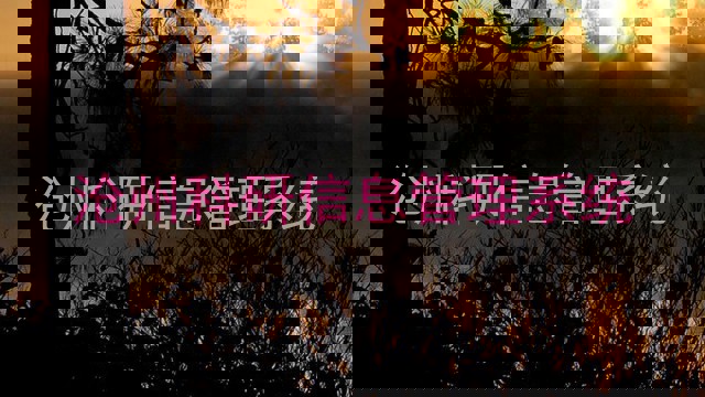 沧州科研信息管理系统