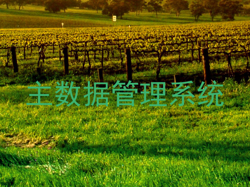 主数据管理系统