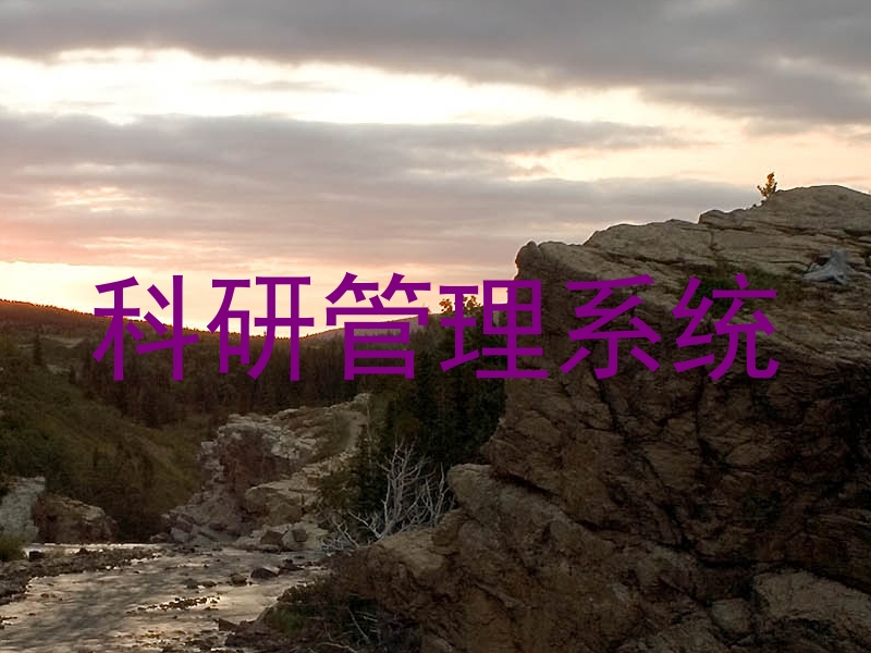 科研管理系统