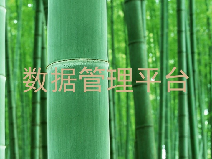 数据管理平台