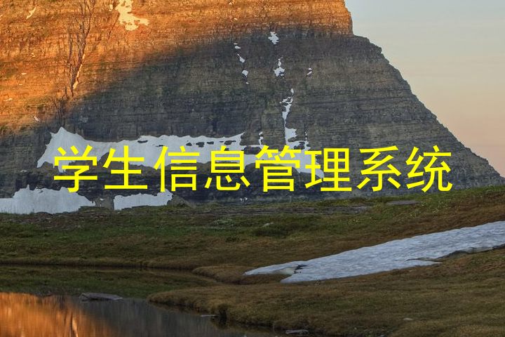 学生信息管理系统