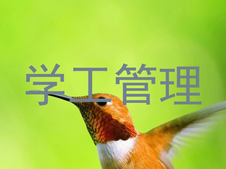 学工管理