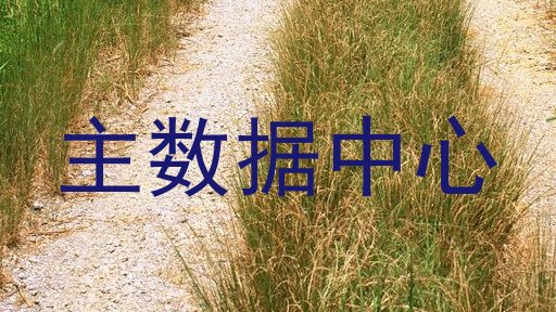 主数据中心