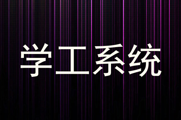 学工系统