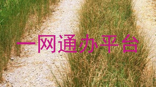一网通办平台