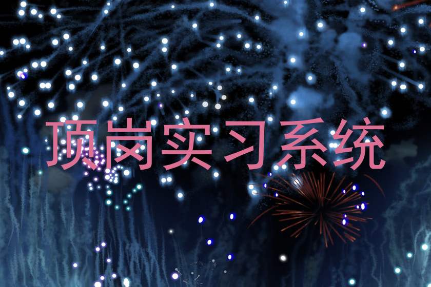 顶岗实习系统