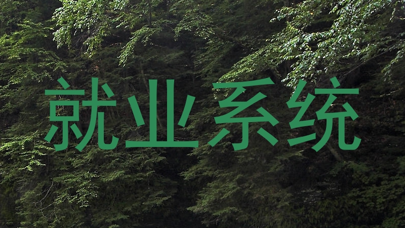 就业系统