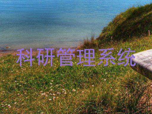 科研管理系统