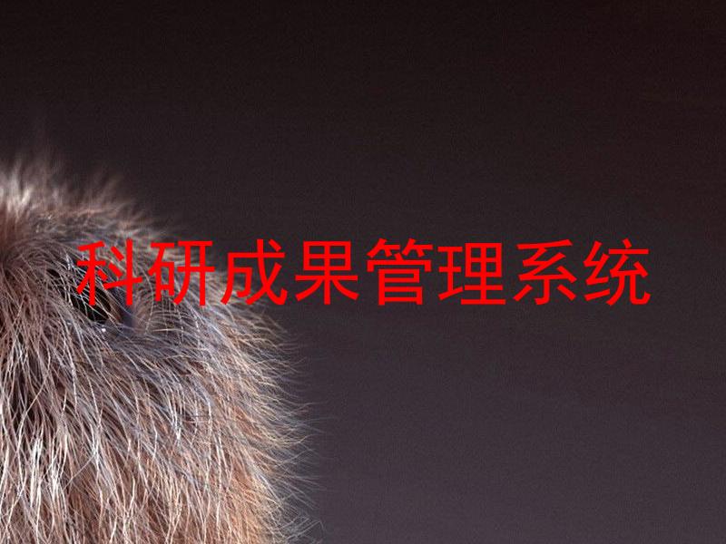 科研成果管理系统