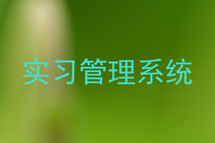 实习管理系统