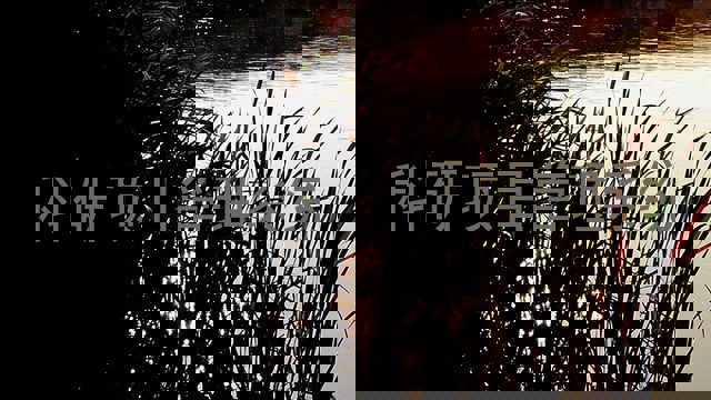 科研项目管理系统