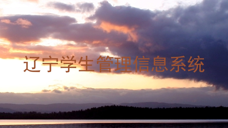 辽宁学生管理信息系统