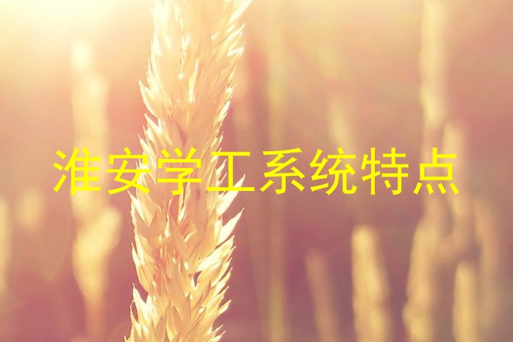 淮安学工系统特点