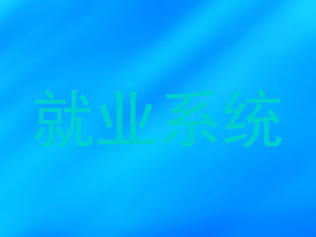 就业系统